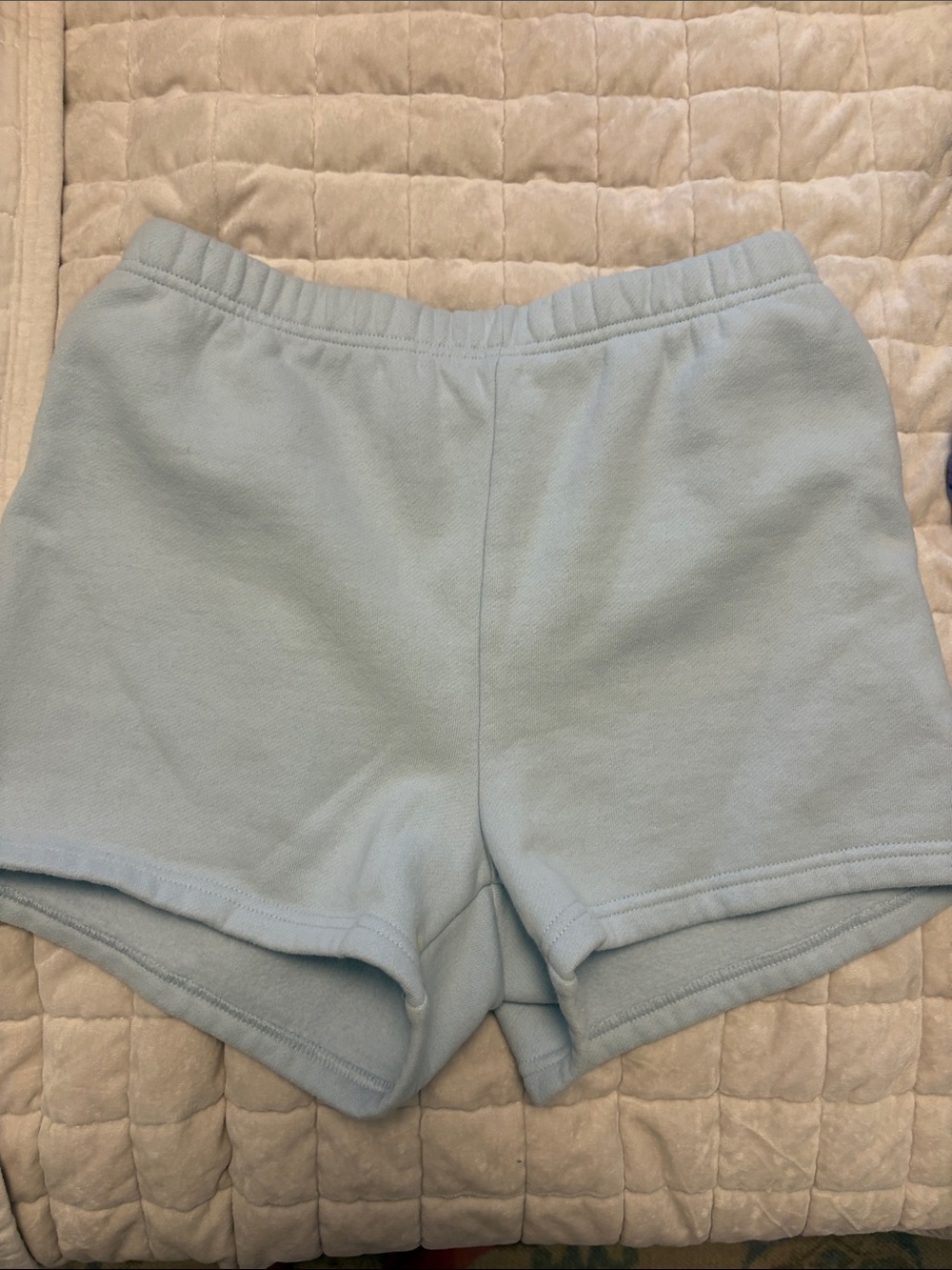 Aritzia Light Blue Knit Athletic Shorts